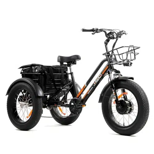 DWMEIGI heel Electric Bike for Adult with  Motor, V AH Removable Lithium Battery, Fat Tire Tricycles for Men Women with Front & Rear Baskets, Speed (Black)