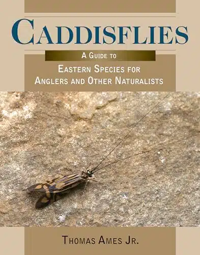 Caddisflies A Guide to Eastern Species for Anglers and Other Naturalists