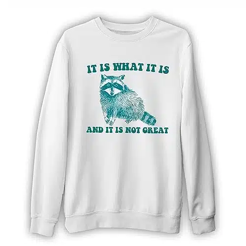 It Is What It Is And It Is Not Great   Vintage Drawing Sweatshirt, Raccoon Meme Sweatshirt, Funny Trash Panda Sweatshirt, Unisex Sweatshirt