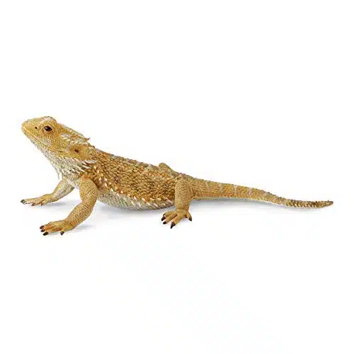 CollectA Bearded Dragon Lizard Toy Figure   Authentic Hand Painted Model , Tan , inch