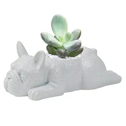 Ctpeng Small Dog Resin Plant Pot,French Bulldog Succulent Planter Pot,for Indoor Cute Ornaments Home Office Desk Decor(White)