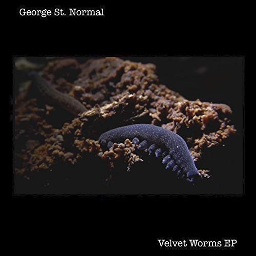 Velvet Worms