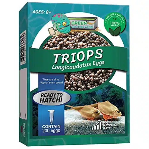 Greenwaterfarm Triops Longicaudatus Eggs for Hatching and Culture Suitable to be Pet and Science Project (Pure Eggs)