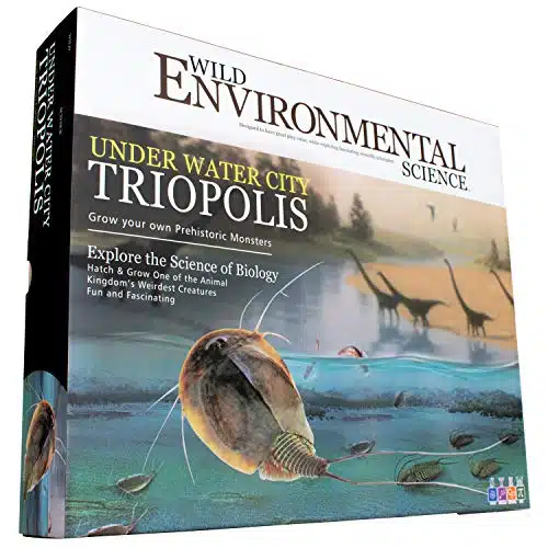 WILD ENVIRONMENTAL SCIENCE Under Water City Triopolis   Science Kit for Ages +   Hatch Triassic Dinosaur Living Fossils   Eggs and Tank Included